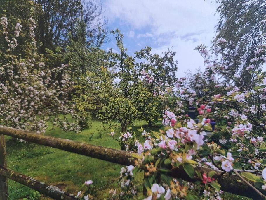 Nature Charm & Fruit Delights, Multi-Generation Celebratory Home -Try, Relax, Repeat - Sellindge Άσφορντ Εξωτερικό φωτογραφία