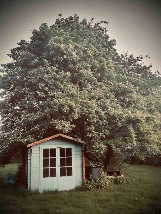 Nature Charm & Fruit Delights, Multi-Generation Celebratory Home -Try, Relax, Repeat - Sellindge Άσφορντ Εξωτερικό φωτογραφία